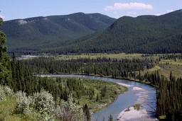 Clearwater River in the Foothills